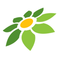 LINK TOTO HK